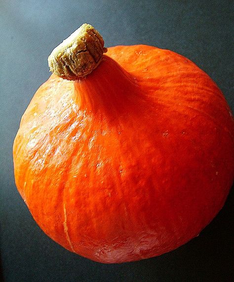 Hokkaido Pumpkin, Biggest Pumpkin, Winter Cooking, Lime Salt, Crockpot Soup Recipes, Sweet Pickles, The Soup, Crock Pot Soup, Canned Coconut Milk