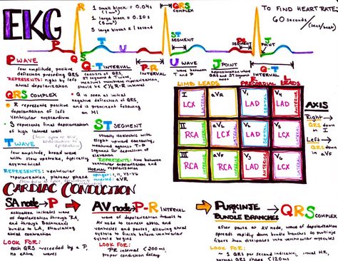 where the art of procrastination meets the study of medicine Ekg Notes, Med School Study, Ekg Interpretation, Medical Assistant Student, Paramedic School, Mcat Study, Nurse Study Notes, Nursing School Survival, Best Nursing Schools