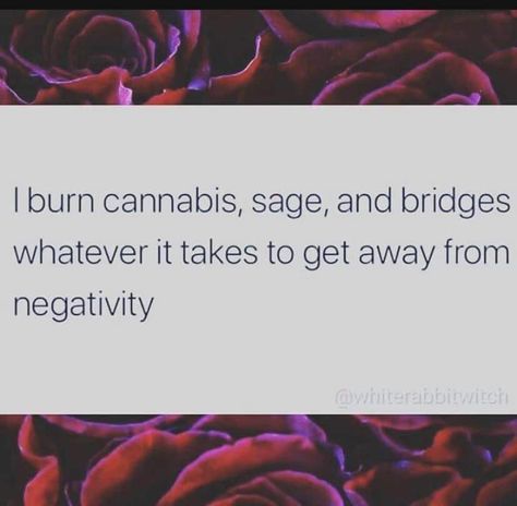 Burned Quotes, Burn Sage, The Desire Map, Burning Sage, Burning Bridges, Postive Life Quotes, Study Quotes, Lifestyle Quotes, Witty Quotes