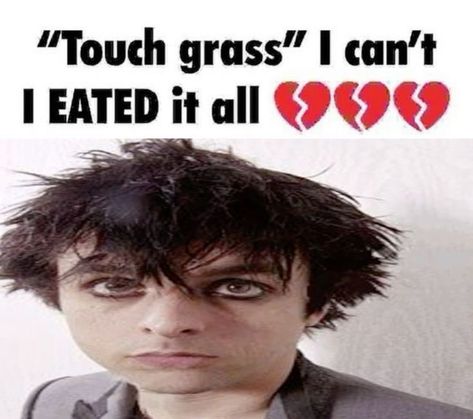 Touch Grass I Eated It All, I Eated It All, Music Jokes, Green Day, Singers, I Can, Music, Green, Pins