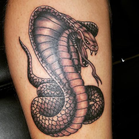 King Cobra Tattoo, Cobra Tattoo, Snake Painting, Cobra Art, Snake Tattoo Design, King Cobra, Snake Tattoo, Blackwork, Tattoo Designs