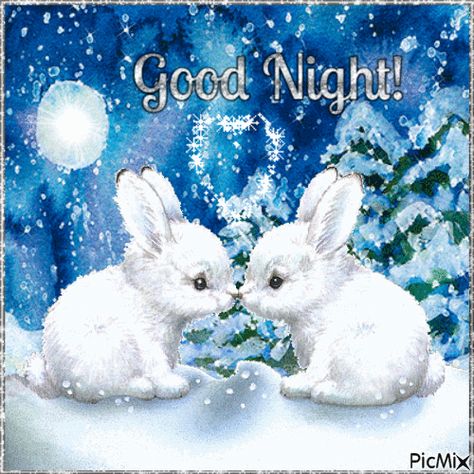 Winter Good Night, Morning Monday Blessings, Good Morning Monday Blessings, Blessings Gif, Goodnight Gif, Goodnight Blessings, Good Night Qoutes, Good Night Cat, Good Morning Monday