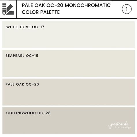 Pale Oak And White Dove, Pale Oak Benjamin Moore, Benjamin Moore Pale Oak, Neutral Wall Paint, Popular Neutral Paint Colors, Kitchen 2025, White Dove Benjamin Moore, Benjamin Moore Kitchen, Wall Paint Color