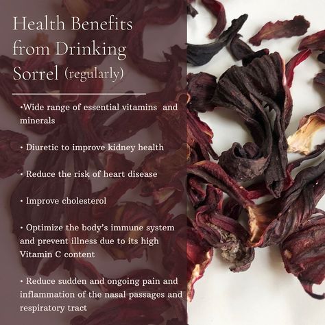 Samantha Amber on Instagram: “🌺𝗪𝐡𝐚𝐭 𝐢𝐬 𝐒𝐨𝐫𝐫𝐞𝐥?⁣ It is a plant/herb used all around the world for its health benefits. You can find sorrel in many of the bodegas around…” Sorrel Benefits Health, Sorrel Benefits, Sorrel Tea Recipe, Benefits Of Sorrel, How To Make Sorrel Drink, Wood Sorrel Recipe, Redwood Sorrel, Kidney Health, Caribbean Culture