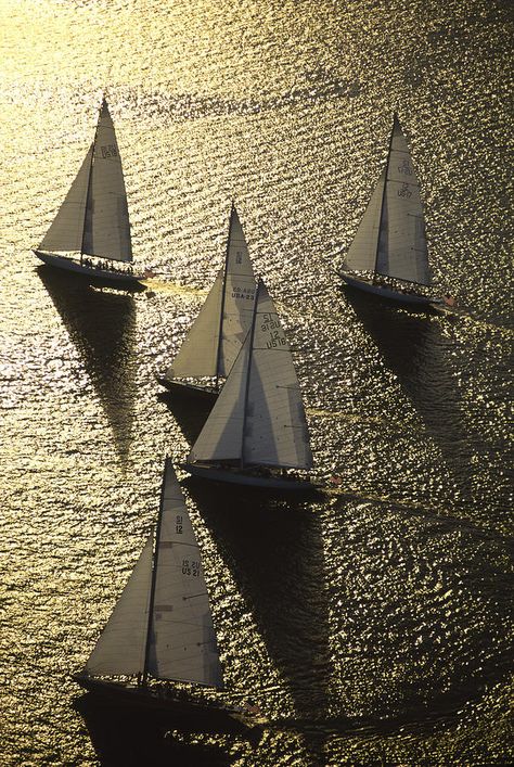 . Sailing Aesthetic, Boat Race, Yacht Boat, Beautiful Sea, Windsurfing, Tall Ships, Set Sail, Sailboats, Sea Life