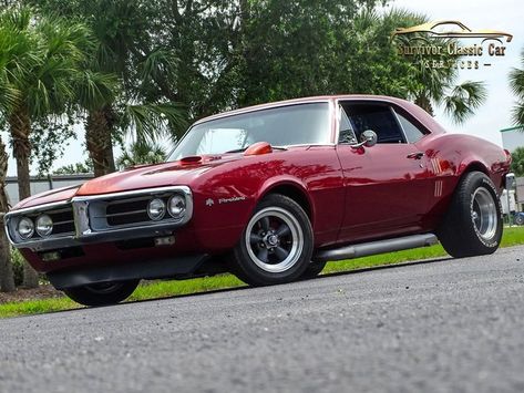 1967 Pontiac Firebird for Sale 1967 Pontiac Firebird, Pontiac Firebird For Sale, Pontiac Firebird Trans Am, Pontiac Cars, Firebird Trans Am, Car Sounds, Fire Bird, Nice Cars, Pontiac Firebird