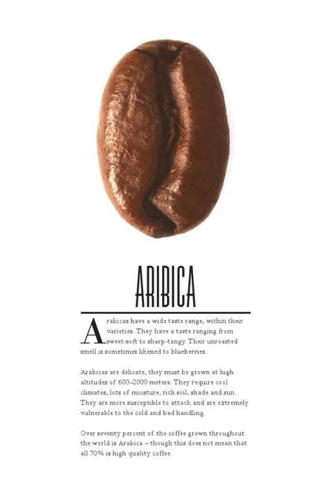 A fanzine all about coffee. Produced By - Reece Crowder / Lucy Hadley / Eilidh Mckenzie / Adam Reid. Coffee Chart, Coffee Infographic, Coffee Ingredients, Bistro Food, Coffee Box, Coffee Roastery, Coffee Roaster, Chocolate Powder, Coffee Logo