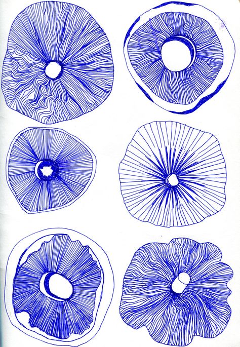 mushroom pen drawing Plakat Design Inspiration, Visuell Identitet, Ink Drawings, Mushroom Art, A Level Art, Pattern Illustration, Patterns In Nature, Pen Drawing, Flowers And Leaves