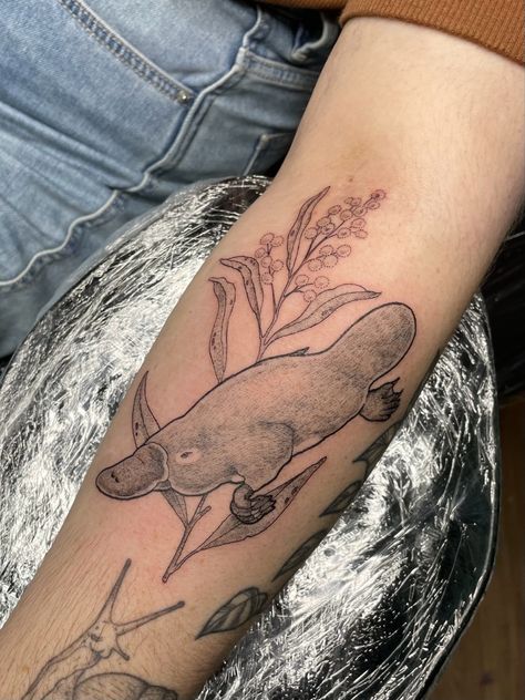 Platypus Tattoo, Tasteful Tattoos, Simple Tattoo Designs, Simple Tattoo, Bunny Pictures, Body Modification, Arm Tattoos, Platypus, Body Modifications