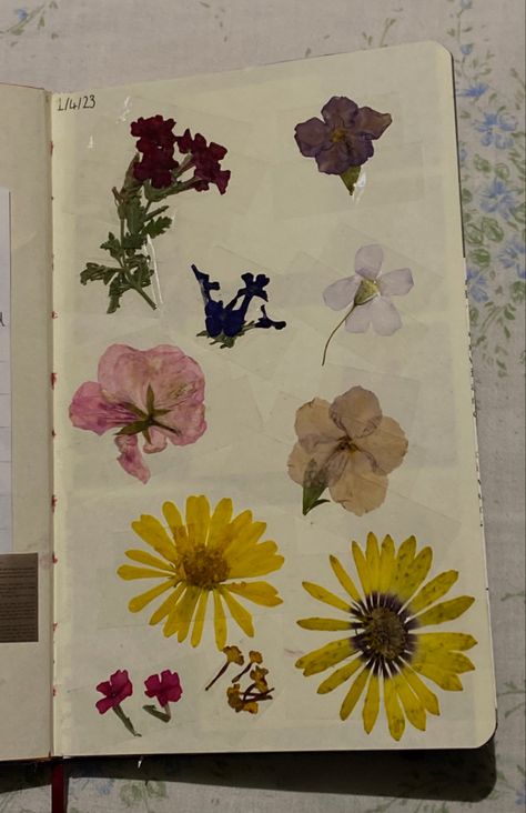 Pressed Flower Journal Page, Pressed Flowers In Journal, Pressed Flowers Journal, Flower Journaling, Pressed Flower Journal, Junk Crafts, Preserve Flowers, Flower Journal, Floral Journal