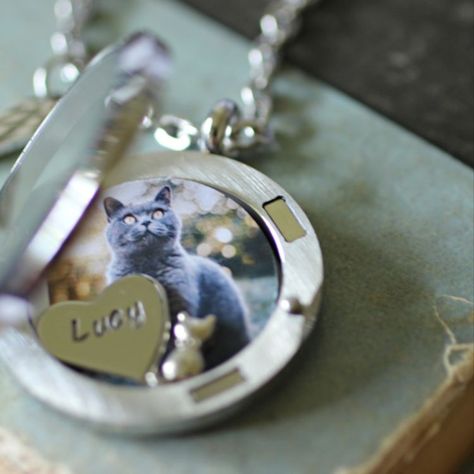 Sometimes when we lose a special companion, it feels like we've lost a big part of ourselves and are left with a huge emptiness that was once filled with the love we had for our beloved pet ♥ I've created this pet memorial necklace in particular, to help those who have lost a dear cat and would like to hold their cat fur inside the locket. Fur Necklace, Hair Locket, Hair Keepsake, Pet Memorial Necklace, Photo Cat, Cat Loss, Necklace Locket, Pet Sympathy Gifts, Pet Memorial Jewelry