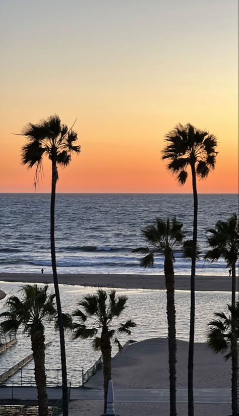 Florida Wallpaper, Palm Tree Wallpaper, Summer Palm Trees, La Beach, Palm Tree Background, Beach Aesthetics, Beach Palm Trees, Beach Place, California Sunset