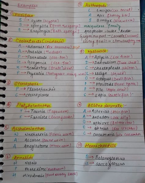 Neet Short Tricks, Biomolecules Notes Biology Class 11 Neet, Locomotion And Movement Neet Notes, Biomolecules Notes Biology, Class 11 Biology Notes, Neet Aspirant, Biology Class 11, Bio Notes, Biochemistry Notes