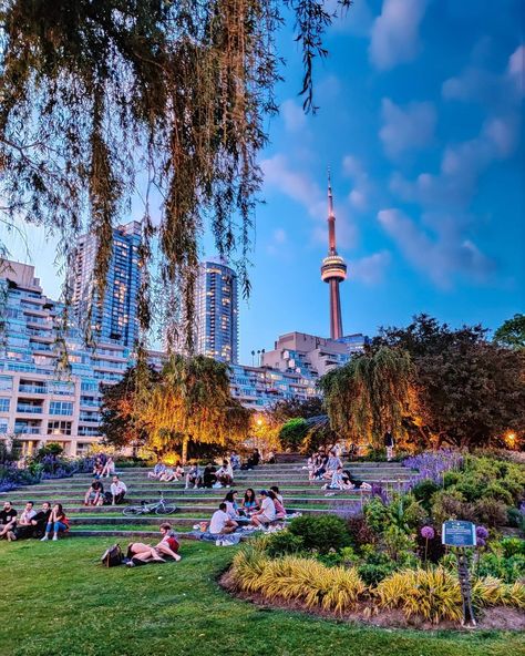 Toronto Music Garden, Toronto Canada Summer, Toronto Parks, Toronto Aesthetic, Toronto Summer, Scarborough Bluffs, University Aesthetic, Music Garden, 2024 Travel