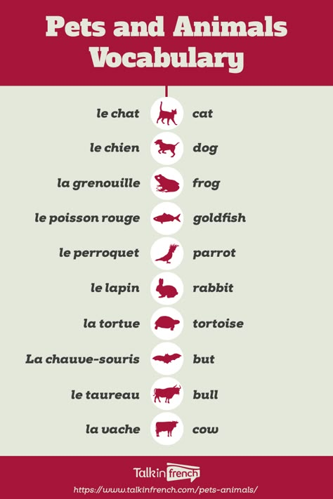 French Language Basics, Useful French Phrases, Learning French For Kids, Learn French Beginner, French Basics, French Flashcards, Basic French Words, Study French, French Worksheets