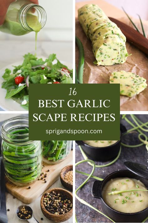 This collection of recipes is just what you need this garlic scape season! With delicious garlic scape recipes such as scape potato soup or garlic scape vinaigrette, you're sure to find lots of great ways to use up your garlic scapes. Scape Recipes, Scape Pesto Recipe, Garlic Scape Pesto, Asparagus Dishes, Harvesting Garlic, Seasonal Eating, Garlic Scapes, Homegrown Food, Csa Recipes