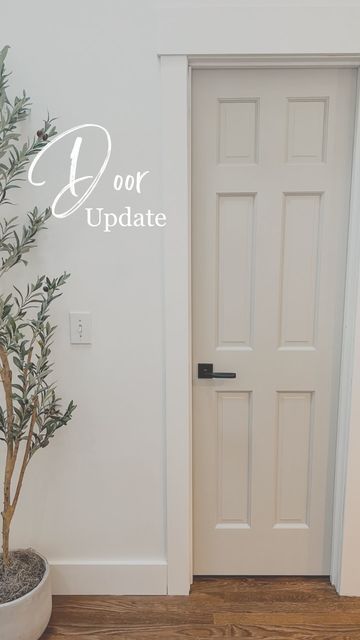 Door Moldings And Trim Modern, 1x3 Door Trim, Faux Wood Interior Door, Update Door Trim, Trim And Doors Different Colors, Adding Trim To Doors, Trim And Door Colors Interior, Wood Windows White Trim, Door Trim Styles