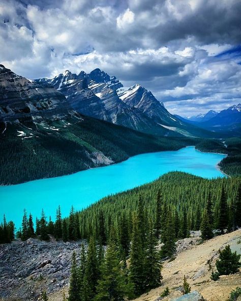 Peyto Lake Canada, Peyto Lake, Banff National Park Canada, Waterton Lakes National Park, Glacier Lake, Canada National Parks, Banff Canada, Canadian Rockies, Banff National Park