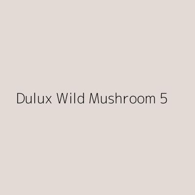 Mushroom Coloured Walls, Dulux Mushroom Paint, Dulux Almost Oyster, Utility Room Paint Color Ideas, Dulux Warm Neutrals, Mushroom Color Paint, Hall Colours, 2021 Paint Color Trends, Dulux Heritage Colours