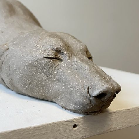 Ceramic Otter Sculpture, Ceramic Sculpture Animal, Ceramic Dog Sculpture, Bear Clay Sculpture, Animal Sculptures Clay, Ceramic Animals Sculpture, Clay Sculpture Ideas, Polar Bear Sculpture, Eye Sculpture