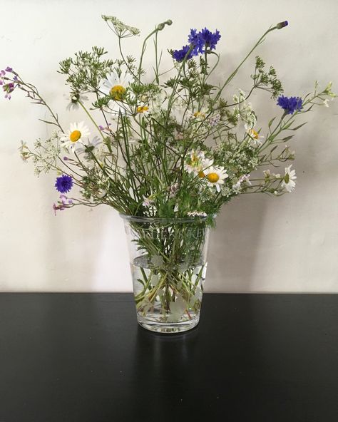 Wild Flowers In Vase, Wildflowers In Vase, Wildflower Arrangements, Coriander Flower, Creative Flower Arrangements, Wildflower Bouquet, Beautiful Flower Arrangements, Green Flowers, Succulents Garden