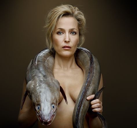 FishLove uses provocative photography to call attention to destructive fishing practices Gillian Anderson Movies, Dead Fish, David Duchovny, Gillian Anderson, British Actresses, A Symbol, X Files, Movie Stars, Hollywood