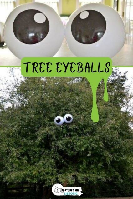 Tree eyeballs are the perfect outdoor Halloween decor! Visit us over on Listotic to see the full featured list of easy DIY Halloween decor. Eyeball Halloween Decorations Diy, Halloween Eyes In Bushes, Diy Halloween Eyeballs, Halloween Doll House, Easy Diy Halloween Decor, Halloween Decorations Spooky, Halloween Bunco, Terrifying Halloween, Spooky Ideas