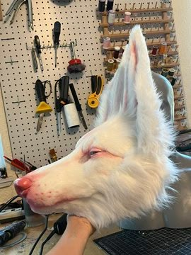 de Leon Fursuits on Twitter: "WIPs of the werewolf mask I’m making for the Vampire ball this weekend. She will be for sale after the event. Listing will be live this Friday and she will be shipped the following Monday after the event. https://t.co/bGTOeU8NfY" / Twitter Cat Mask Diy, Werewolf Mask, Fursuit Making, Therian Mask Ideas, Vampire Ball, Fursona Ideas, Therian Masks, Fursuit Ideas, Fur Suits