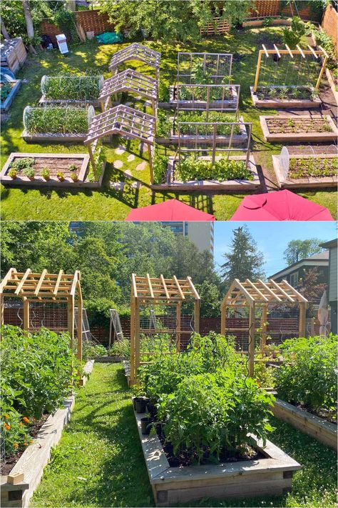 25 best vegetable garden design ideas & easy layout plans for beginners & pros to grow your own food in a front or backyard edible landscape. - A Piece of Rainbow, kitchen garden, vegetable gardening ideas, small space tips, grow your own food, herbs, homestead, homesteading, spring, summer, raised beds, trellis, greenhouse, DIY Suburban Vegetable Garden, Dream Garden Vegetable, Large Garden Design, Front Yard Vegetable Garden, Alabama Garden, Outdoor Trellis Ideas, Vege Patch, Raised Bed Garden Layout, Future Background