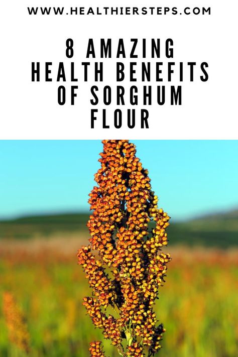 Have you heard about the health benefits of sorghum flour? While not so popular, sorghum (Sorghum bicolor) is a cereal grain that has been around for hundreds of years. Thicken Stew, Cereal Grain, Healthy Flour, Sorghum Flour, Digestive Juice, Chocolate Oatmeal, Grain Foods, Healthy Bones, Flour Recipes