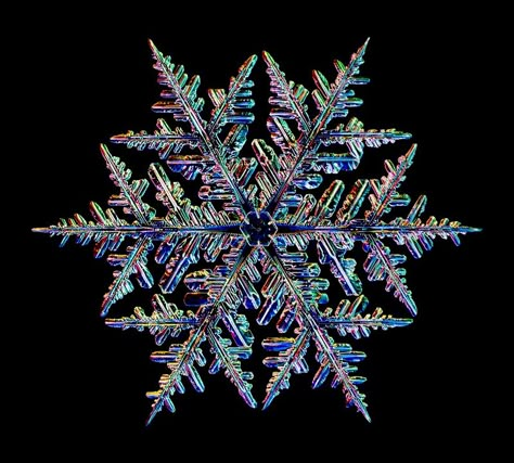 Snowflake Photography, Snow Flake Tattoo, Snowflake Images, Ice Magic, Snowflakes Real, Geometry In Nature, Frozen Wallpaper, Snowflake Lights, Snowflake Photos