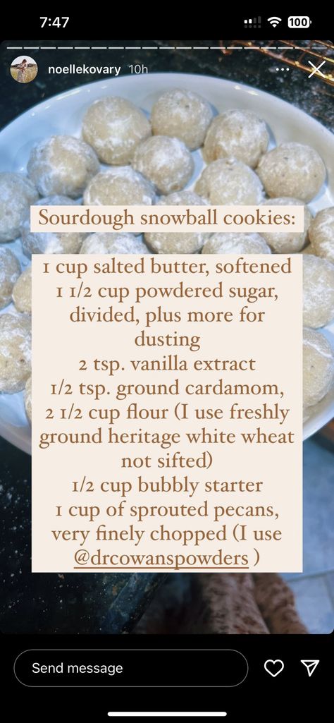 Sourdough Snowball Cookies, Snowballs Cookies, Sourdough Treats, Sourdough Desserts, Sourdough Cookies, Sourdough Ideas, Homesteading Recipes, Wartime Recipes, Sourdough Breads