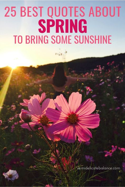 25 Best Quotes About Spring To Bring Some Sunshine To Your Life #springquotes #springcaptions #quoteaboutspring #springtime Spring Day Quotes, Quotes About Spring, Quotes About Flowers, Springtime Quotes, Happy Spring Day, Black Love Quotes, Relationship Development, Season Quotes, Spring Quotes