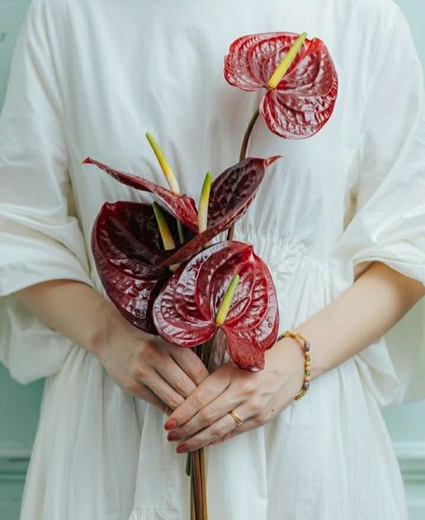 Unusual Flower Bouquets, Avant Garde Bouquet, Red Anthurium Bouquet, Anthurium Bouquet Wedding, Anthurium Wedding Bouquet, Anthurium Bridal Bouquet, Anthurium Bouquet, Unusual Wedding Bouquets, Red Samurai