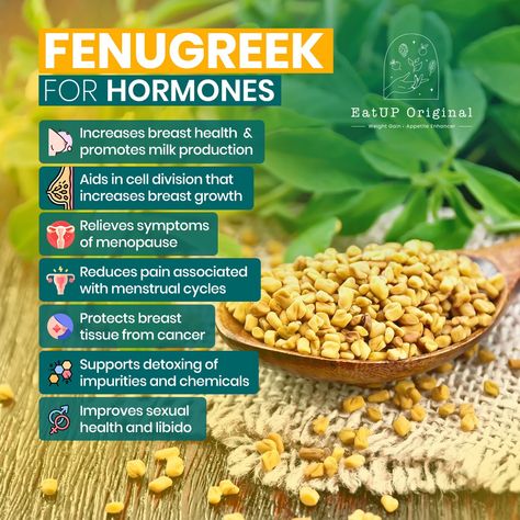 Learn why fenugreek is considered so great for women's health and even known for its breast growth effects. We include fenugreek in many of our EatUP Original supplements due to its hormone balancing effects, promotion of tissue growth, and appetite stimulation.