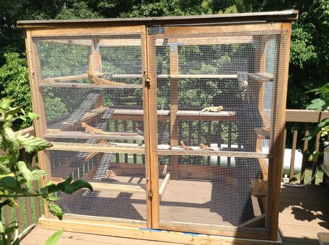 Outdoor Enclosure and photos credited to Karen Johnston as posted on the Facebook page of Carolina Designer Dragons, 2013. Photo 1/2 Dragon Terrarium, Bearded Dragon Enclosure, Bearded Dragon Terrarium, Bearded Dragon Cage, Bearded Dragon Habitat, Bearded Dragon Diet, Outdoor Enclosure, Animal Enclosures, Baby Bearded Dragon