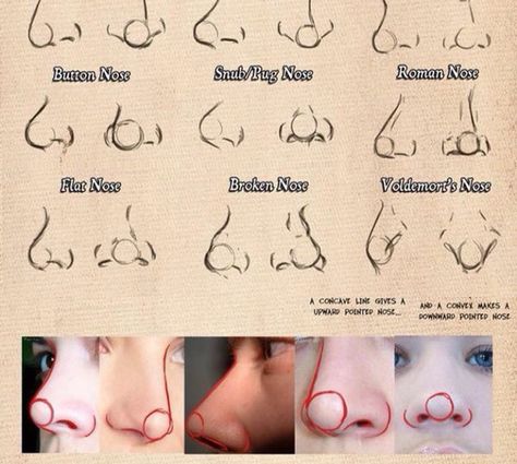 Nose Broken Nose, Children Sketch, Nose Drawing, Human Anatomy Art, Nose Art, Digital Painting Tutorials, Figure Drawing Reference, Anatomy Art, Art Poses