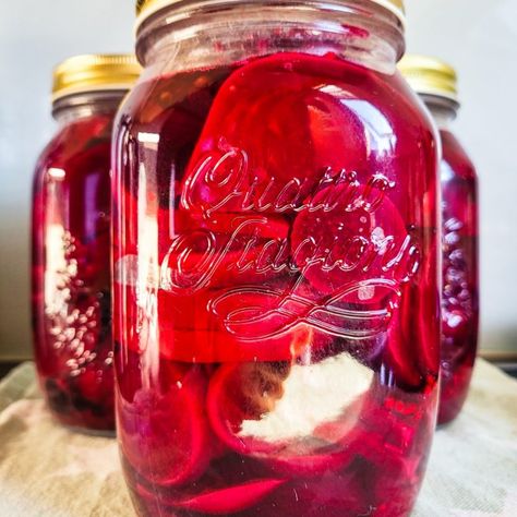 How to preserve Beetroot Beetroot Recipes, Winter Vegetables, Jam And Jelly, Harvest Time, Healthy Vegetables, Fresh Salads, Winter Time, Mason Jar Mug, Healthy Happy