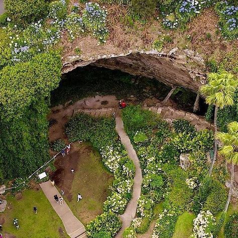 South Australia on Instagram: "It wouldn’t be a trip to @discover_mount_gambier without walking through the gorgeous greenery of #UmpherstonSinkhole, a sunken garden that was planted in the bottom of this subterranean site that is 20 metres deep and 50 metres wide 💐 The garden blooms year round, with native and exotic vegetation filling the terraces and walkways while enormous vines cascade down the limestone walls 🌿 Beautiful photo spots are abundant at Umpherston, but an aerial angle truly gives you a sense of the size and scale of this place! 🚁📸 @south_aus_drone   [🌱Please protect and respect our natural environment and unique wildlife. Tread lightly and sustainably. southaustralia.com/plan-your-trip/sustainability for more] #SeeSouthAustralia #SouthAustralia" Mount Gambier, Tread Lightly, Limestone Wall, Sunken Garden, South Australia, Natural Environment, Plan Your Trip, Beautiful Photo, Bucket List