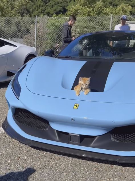 Spider Ferrari, Ferrari F8 Spider, F8 Spider, Ferrari Spider, Ferrari F8, Motivation Music, Makeup Lifestyle, Vw T1, Summer Nature