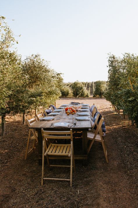 Outdoor Harvest Table, Oak Restaurant, Black Outdoor Furniture, Olive Harvest, Italian Olives, Olive Oil Cake, Garlic Olive Oil, Harvest Table, Cooking With Olive Oil