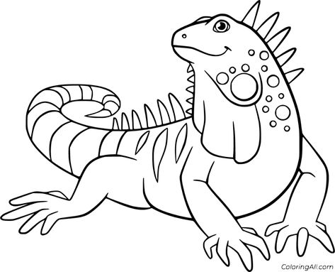 23 free printable Iguana coloring pages in vector format, easy to print from any device and automatically fit any paper size. Green Iguana, Dragon Coloring Page, Drawing Tutorial Easy, Free Printable Coloring, Animal Coloring Pages, Free Printable Coloring Pages, Coloring Book Pages, Coloring Pictures, Free Coloring Pages