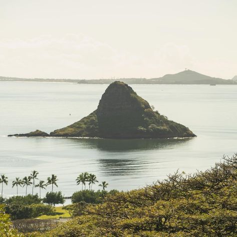 SPLORIN’ THE REAL JURASSIC PARK🦖⛰️{save for your next trip to Hawaii!} 📍Kualoa Ranch, Oahu, Hawaii ✨Here are the top tours you can take there: 🎬Movie Sites Tour: Visit iconic filming locations from Jurassic Park to Kong Skull Island. 🏎️ATV Raptor Tour: Ride through lush valleys and rugged terrain on an adventurous ATV expedition. 🦖Jurassic Jungle Expedition: Trek through dense forests and discover prehistoric landscapes. ⚓️Ocean Voyaging Experience: Embark on a catamaran voyage to explore ... Jungle Expedition, Kong Skull Island, Kualoa Ranch, Trip To Hawaii, Movie Sites, Skull Island, Oahu Hawaii, Filming Locations, Hawaii Travel