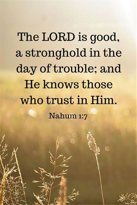 Nahum 1 7, Nahum 1:7, Trust In Him, End Times, The Lord Is Good, Encouraging Scripture, Prayer Verses, Bible Verses Quotes Inspirational, Biblical Quotes