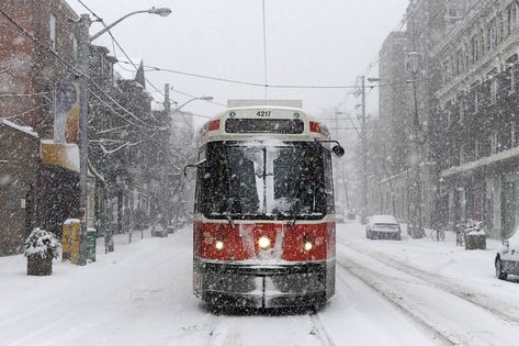 Toronto Winter, Light Rail Vehicle, Travel Toronto, Cry Wolf, Airport Map, Europe Train, Old Toronto, Toronto Restaurants, Toronto Travel