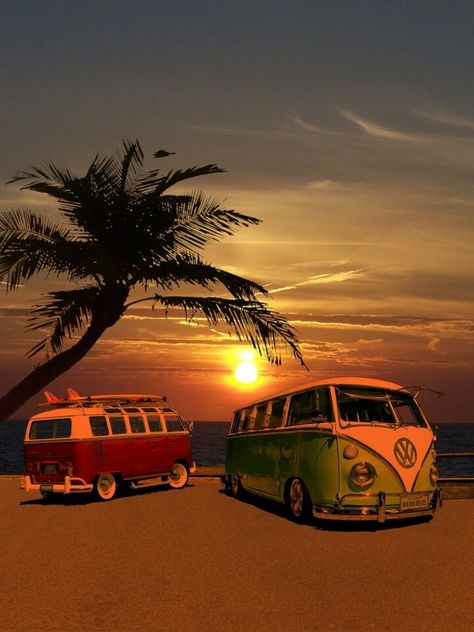 Volkswagon Vans at the Beach during sunset Van Volkswagen, Van Vw, T1 Bus, Vw Vanagon, Vw Art, Kombi Home, Volkswagen Van, Combi Volkswagen, Vw Bus Camper