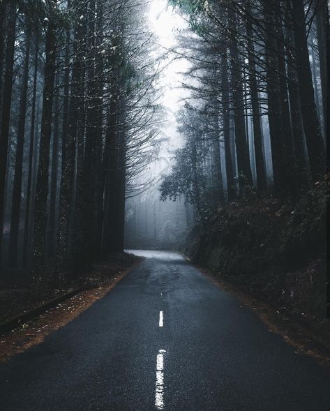 Nature Destinations, Blowin' In The Wind, The Road Not Taken, Serenity Now, Beautiful Roads, Forest Road, Misty Forest, Beach Photos, Beautiful Photography