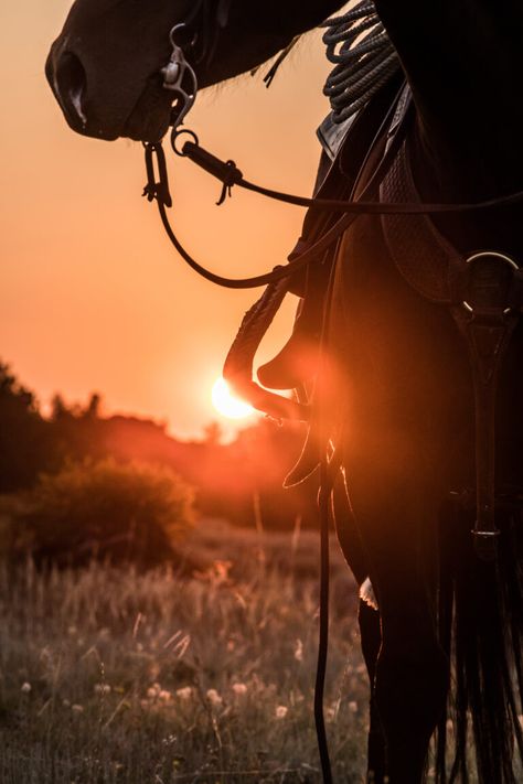 Are Your Stirrups Babysitting You? - Horse and Rider Horseback Riding Aesthetic, Cage Photography, Western Horse Riding, Horse Riding Aesthetic, Horse Lessons, Pictures With Horses, Cute Horse Pictures, Riding Arenas, Horse Training Tips