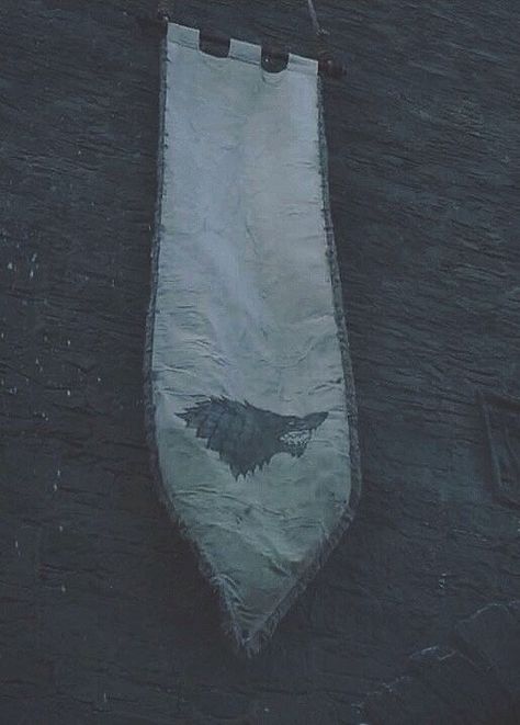 Arya Stark Aesthetic, Jon Snow Aesthetic, Game Of Thrones Tumblr, Stark Sigil, Plot Lines, Game Of Thrones Poster, Snow Aesthetic, Robb Stark, Got Game Of Thrones