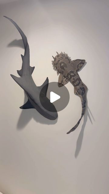 3d Shark Craft, Thresher Shark Drawing, Wall Shark, Shark Sculpture, Thresher Shark, Shark Craft, Shark Drawing, Fish Decor, Bull Shark